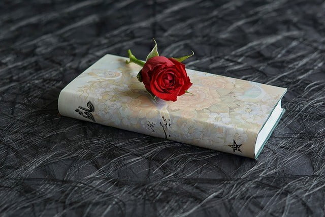 A red rose on top of a hardcover book for Helen Keller quotes