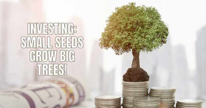 A tree growing out of coin piles symbolising the effect of starting investing even when broke