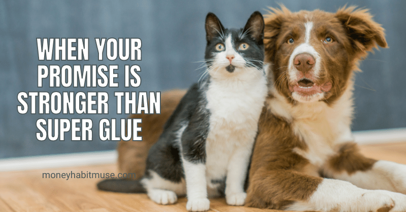 Cute cat and dog and the phrase about strong promise: a habit to become a better person