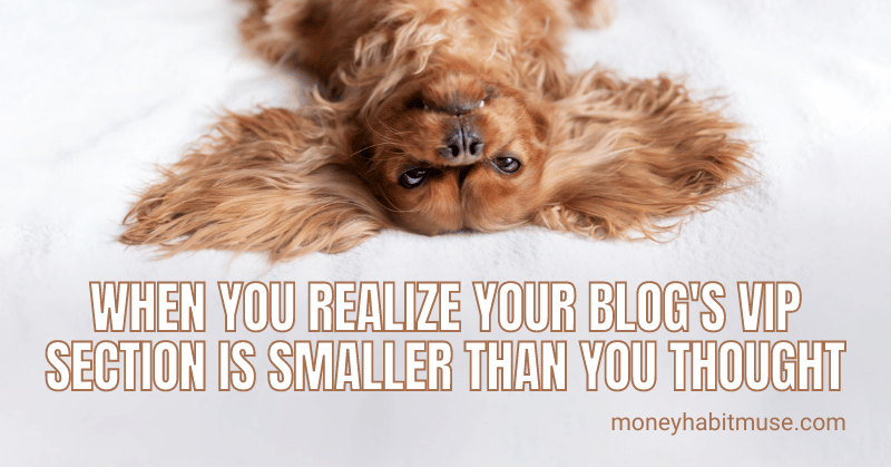 Cute dog relaxing on bed and the 80/20 rule in blogging
