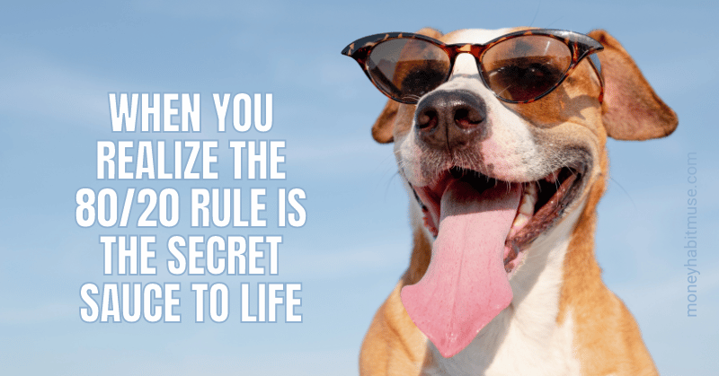 Dog in sunglasses and the 80/20 rule the secret sauce to life