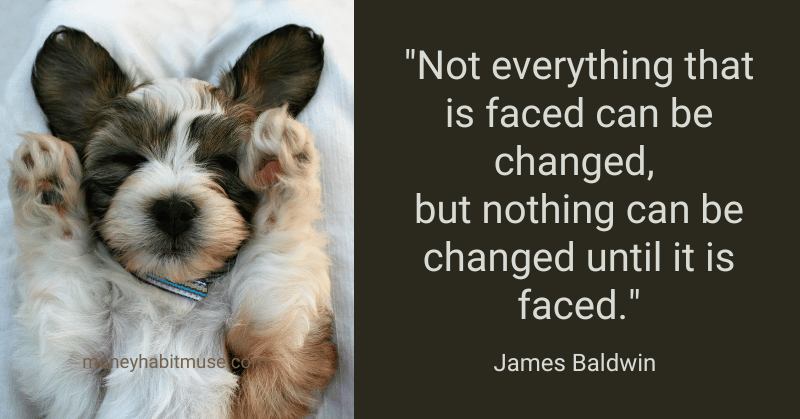 A cute puppy sleeping and James Baldwin quote about change happening when faced.