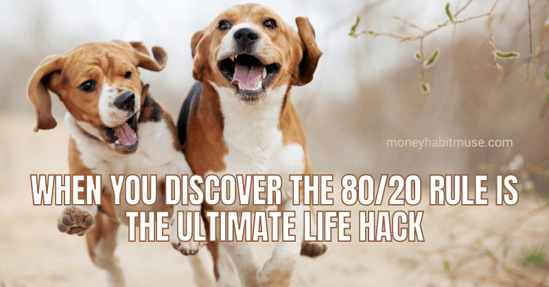 Two dogs running and the 80/20 rule the ultimate life hack